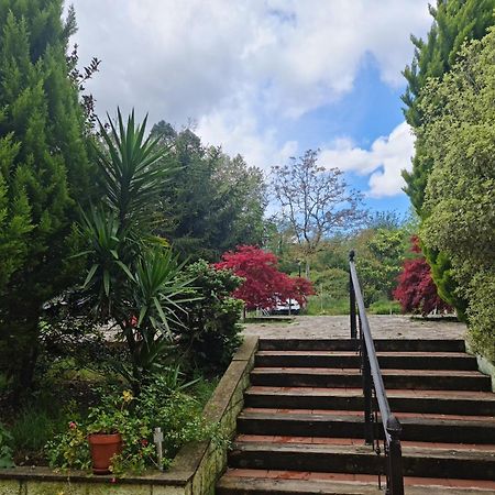 Posada Las Mozas Del Agua De Riocorvo Exterior photo
