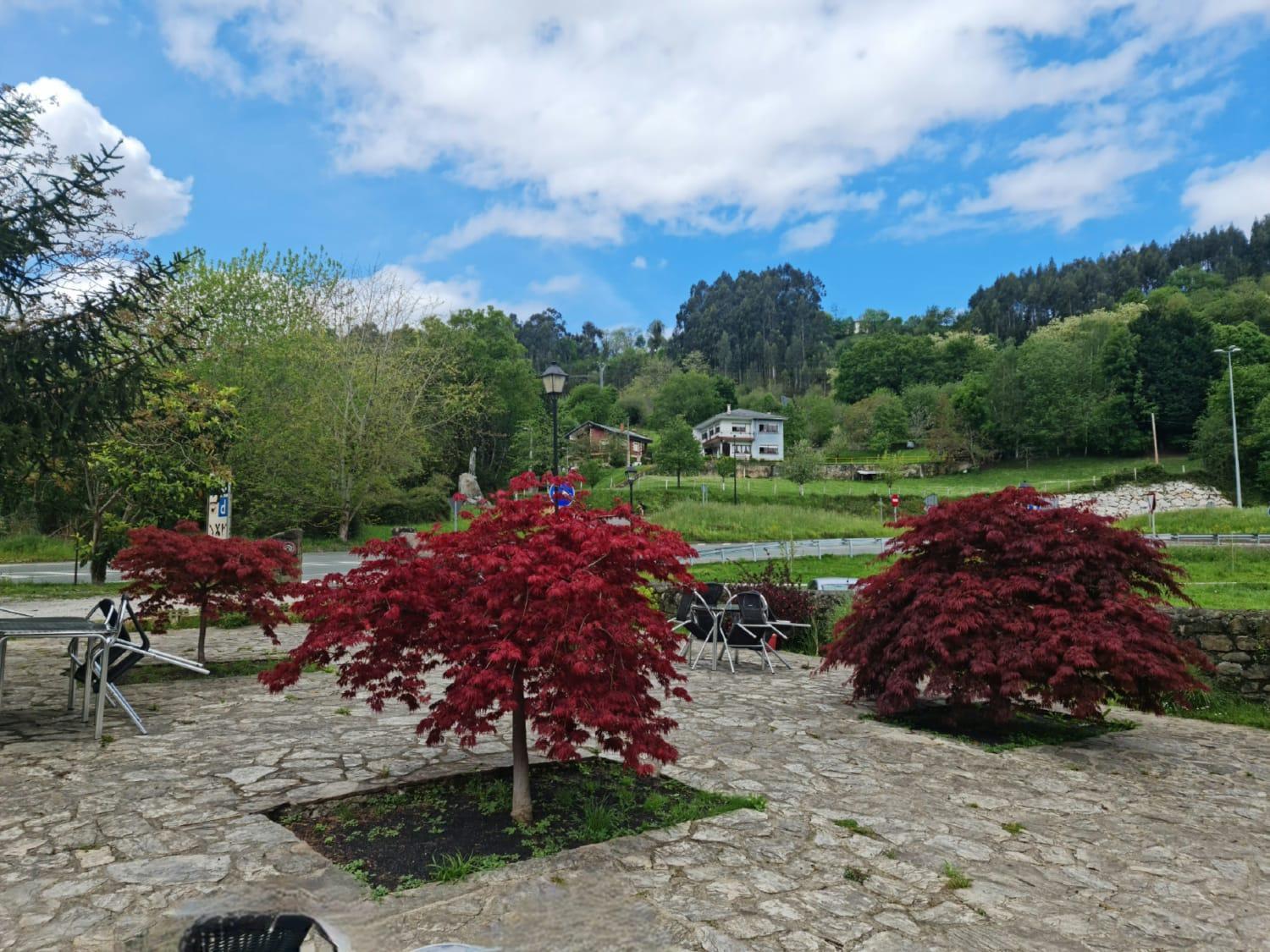 Posada Las Mozas Del Agua De Riocorvo Exterior photo
